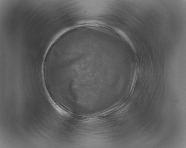 X0000074001482200609061011