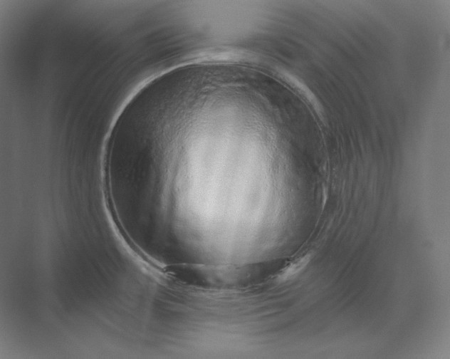 X0000074001483200609061011