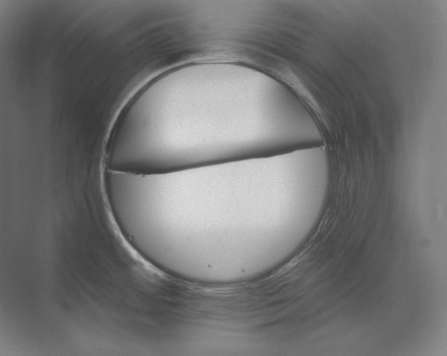 X0000074001484200609061011