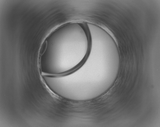 X0000074001485200609061010