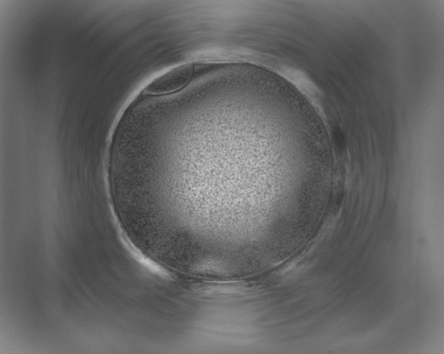 X0000074001486200609061010