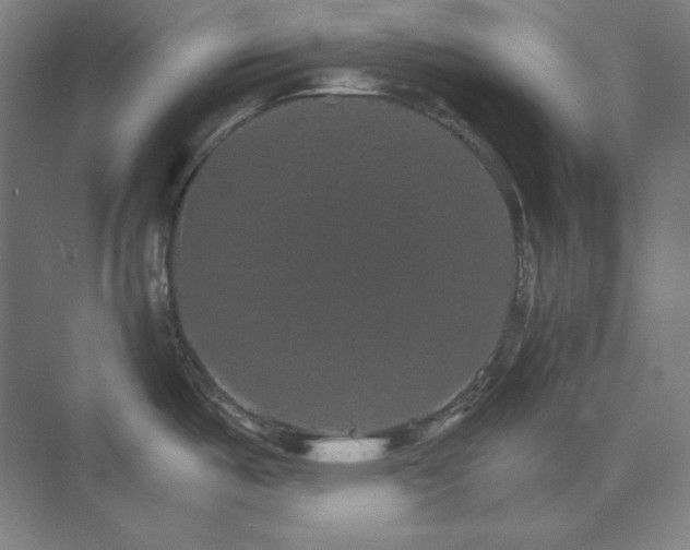 X0000074001487200609061010