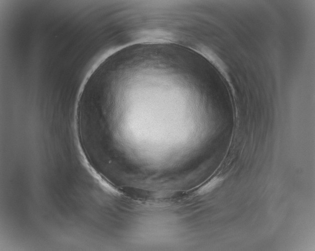 X0000074001488200609061010