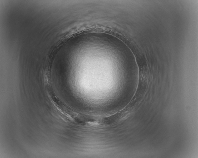 X0000074001490200609061010