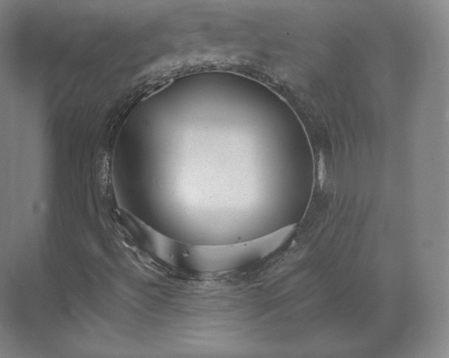 X0000074001492200609061010