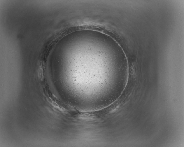 X0000074001493200609061010