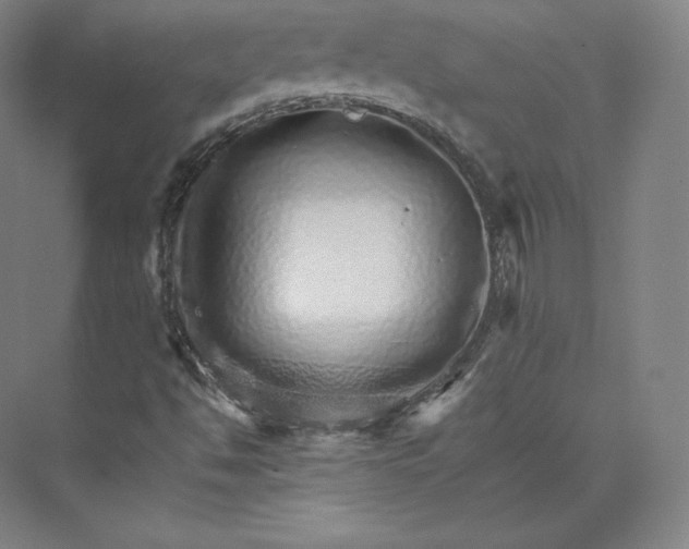 X0000074001494200609061010