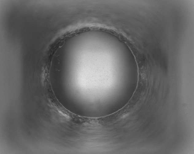 X0000074001495200609061010