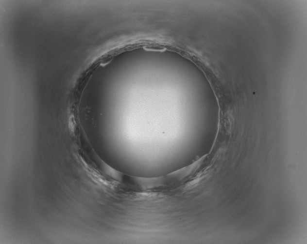 X0000074001496200609061010