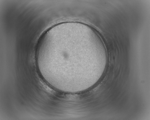 X0000074001498200609061010