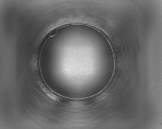 X0000074001499200609061010