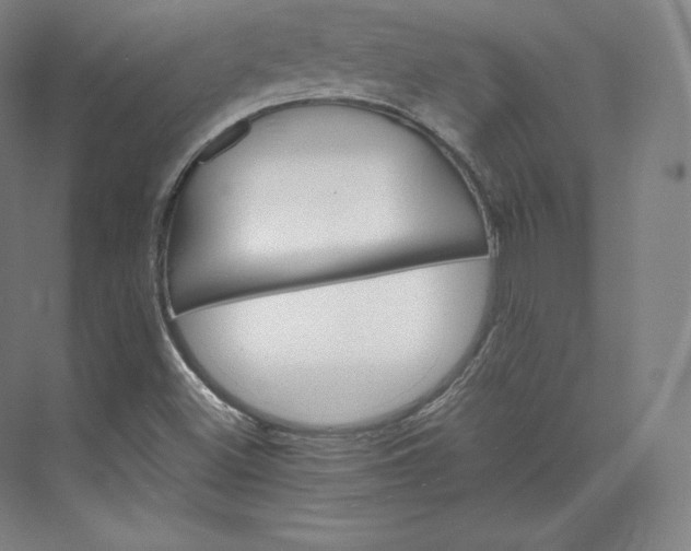 X0000074001500200609061010