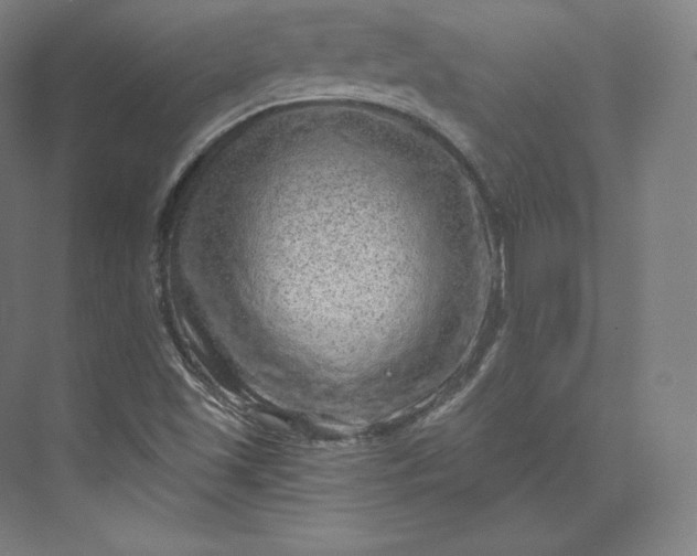 X0000074001501200609061010