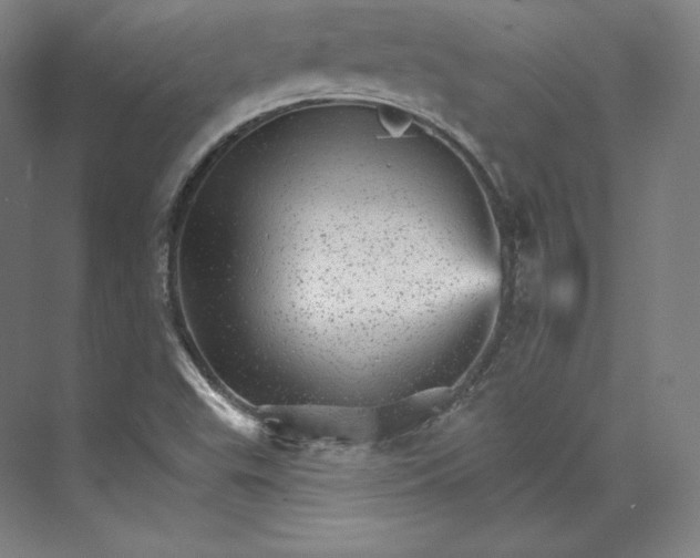 X0000074001503200609061010