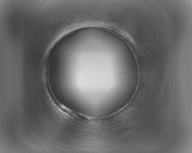 X0000074001504200609061010