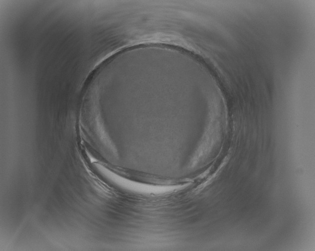 X0000074001505200609061010