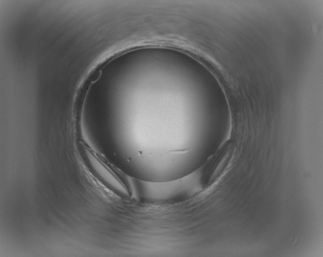 X0000074001506200609061010