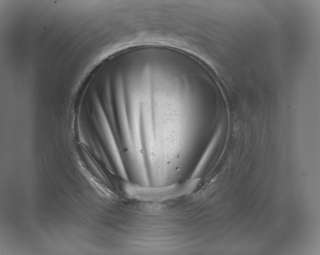 X0000074001507200609061010