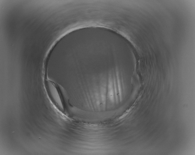 X0000074001508200609061010