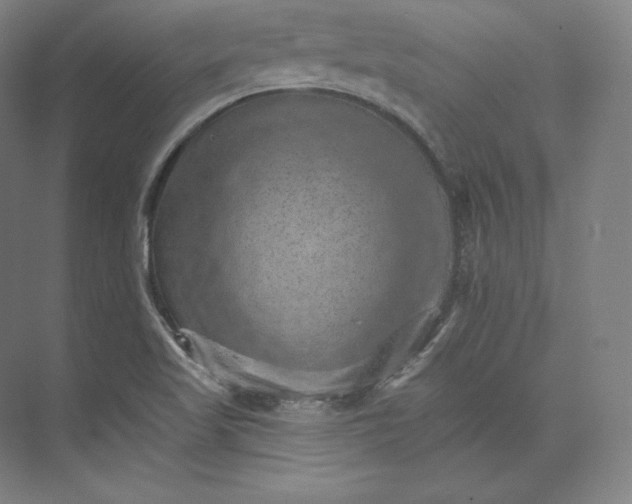 X0000074001509200609061010