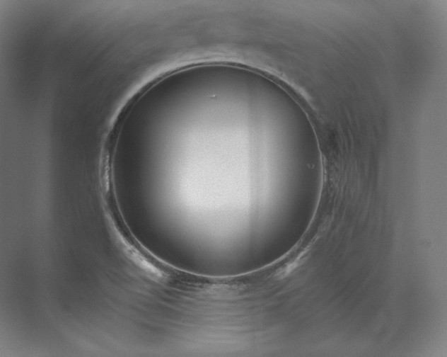 X0000074001510200609061010