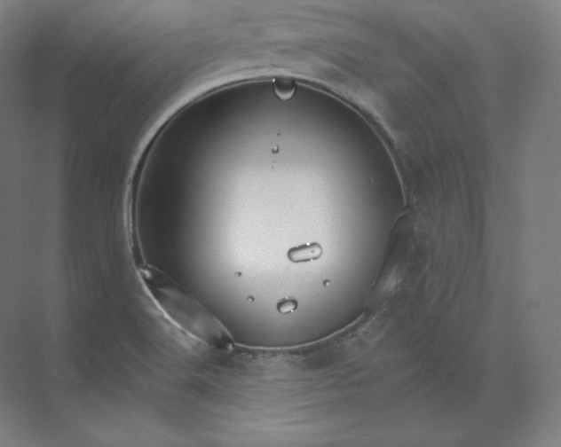 X0000074001516200609061010