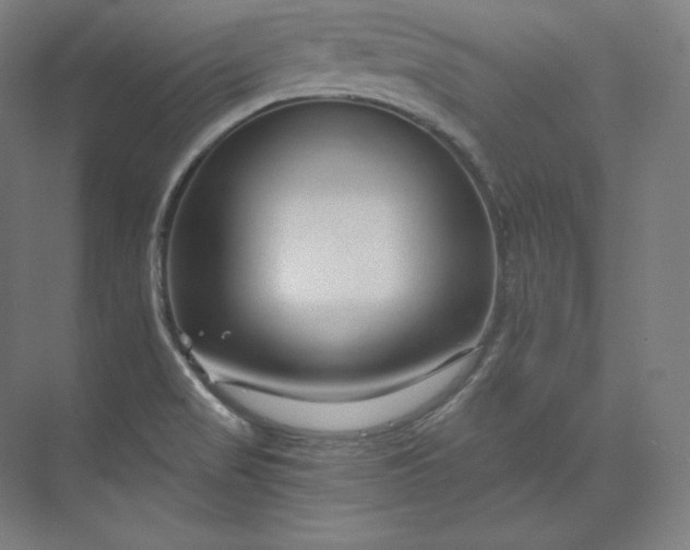 X0000074001517200609061010