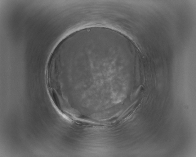 X0000074001519200609061010