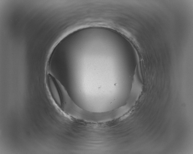 X0000074001520200609061010