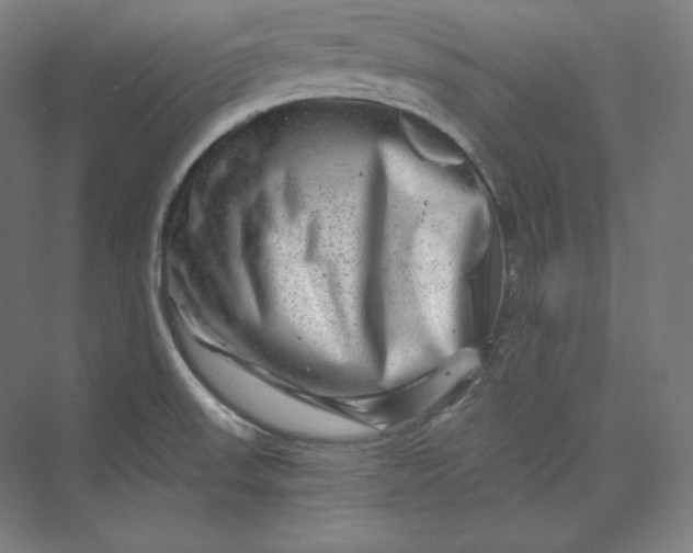 X0000074001523200609061010