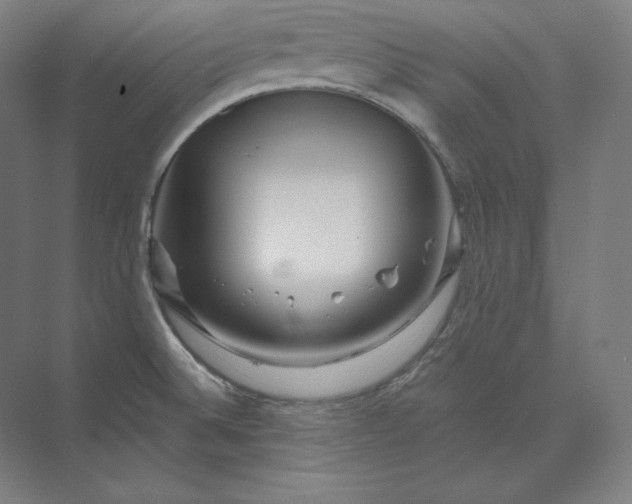 X0000074001524200609061010