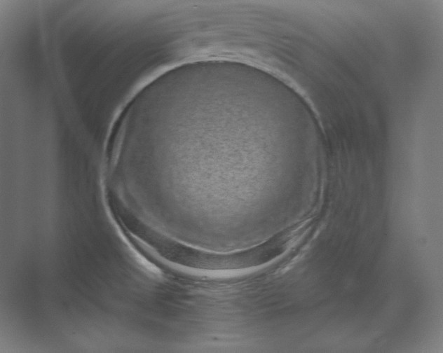 X0000074001525200609061010