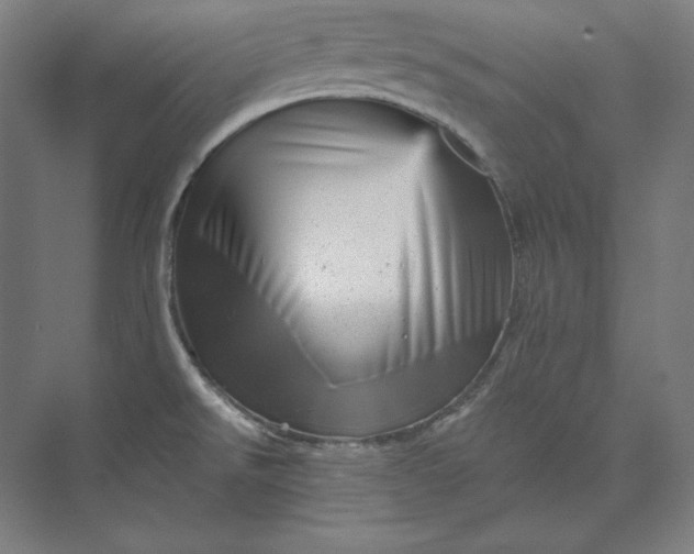 X0000074001526200609061010