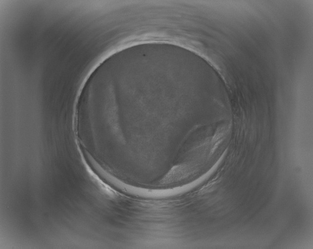 X0000074001527200609061010