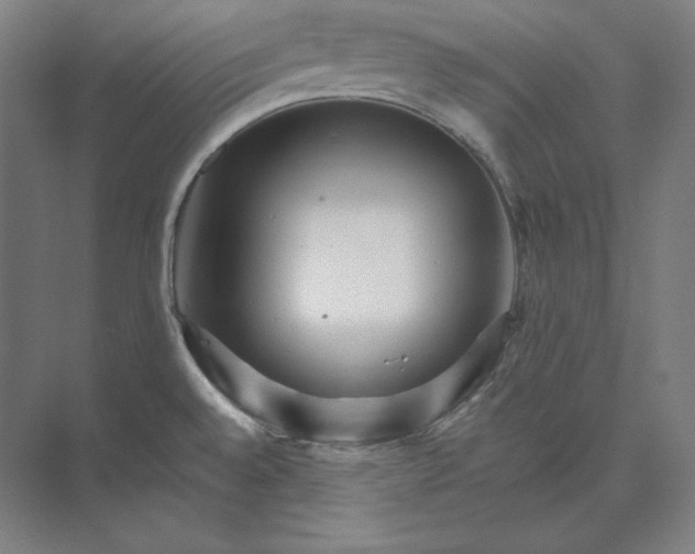 X0000074001528200609061010