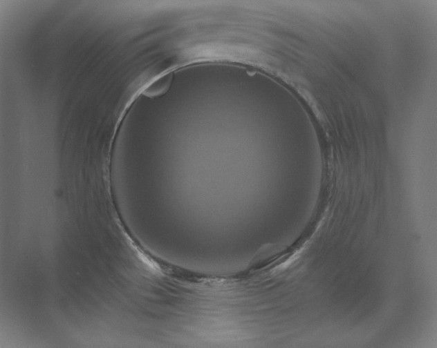 X0000074001529200609061010