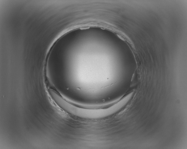 X0000074001530200609061010