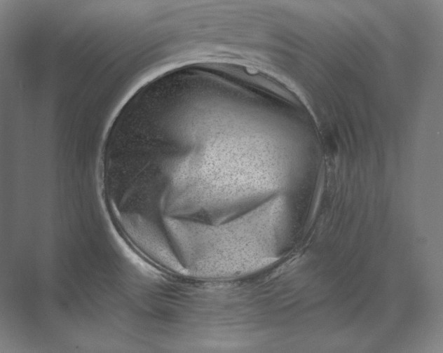 X0000074001531200609061010