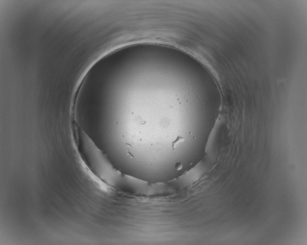 X0000074001532200609061010