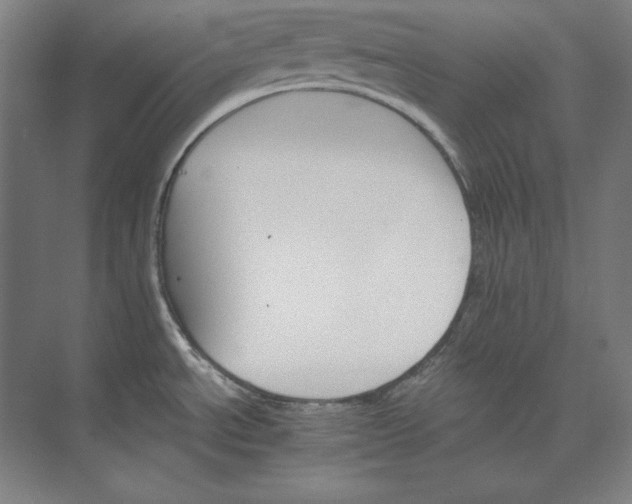 X0000074001534200609061010