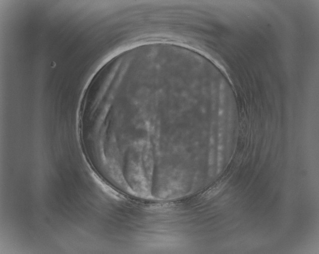 X0000074001535200609061010