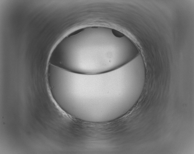 X0000074001536200609061010