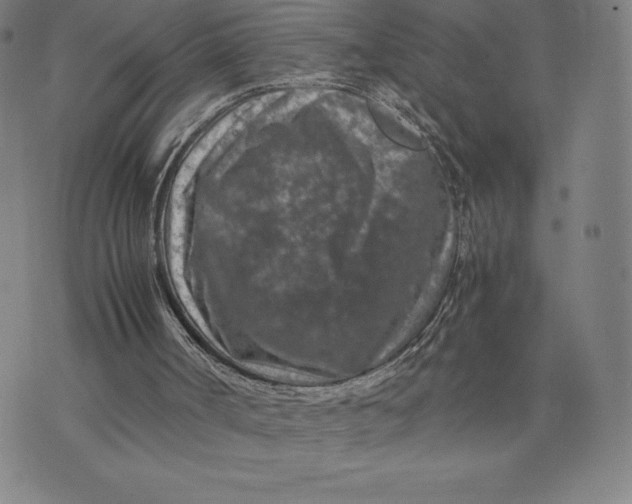 X0000074000002200609111610