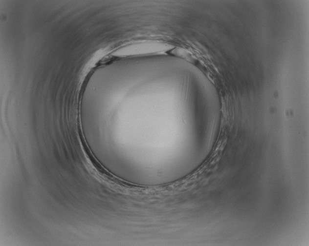 X0000074000003200609111610