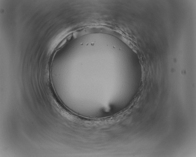 X0000074000005200609111610