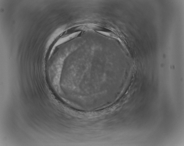 X0000074000006200609111610