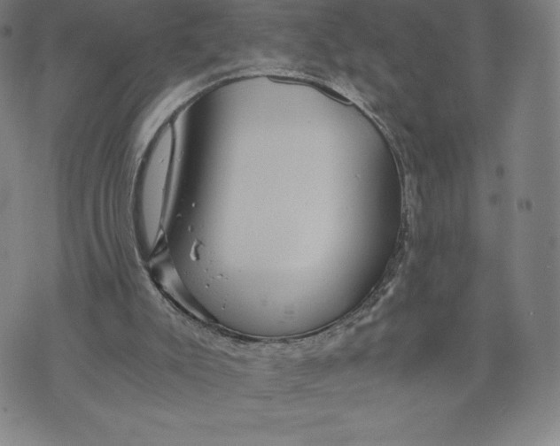 X0000074000007200609111610