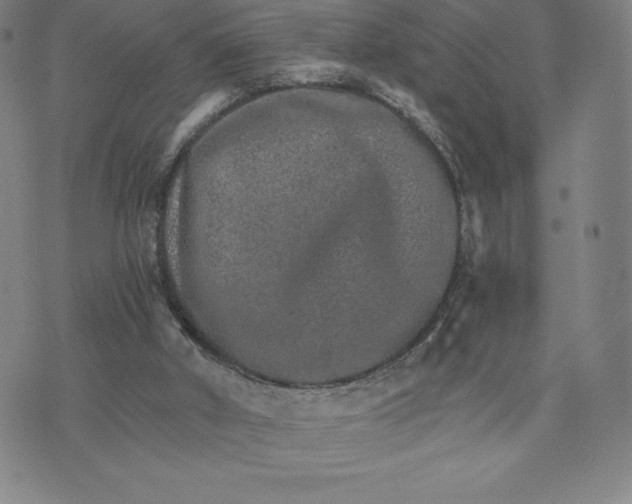 X0000074000010200609111610