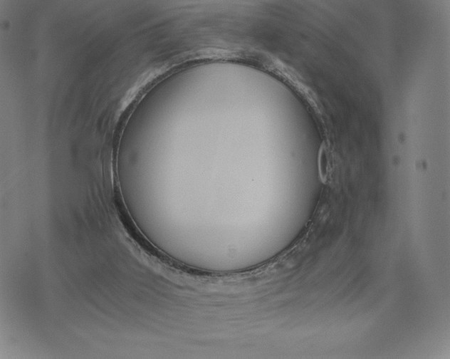 X0000074000011200609111610