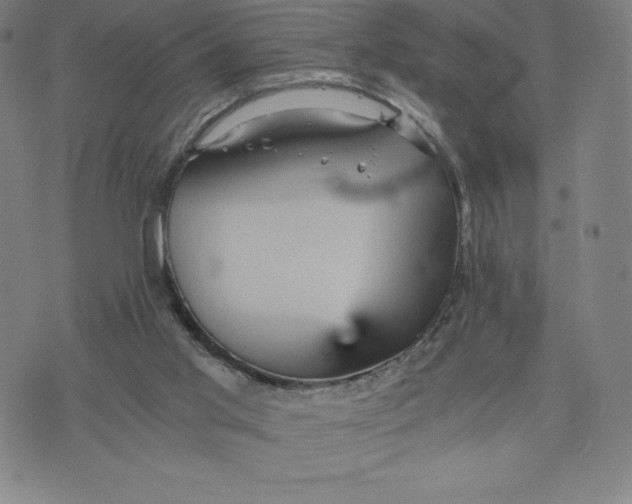 X0000074000013200609111610